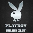 Playboy gokkast